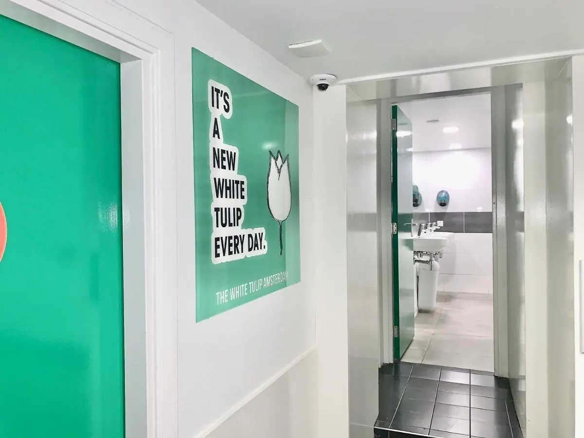 The White Tulip Hostel Amsterdam 0*,  Netherlands